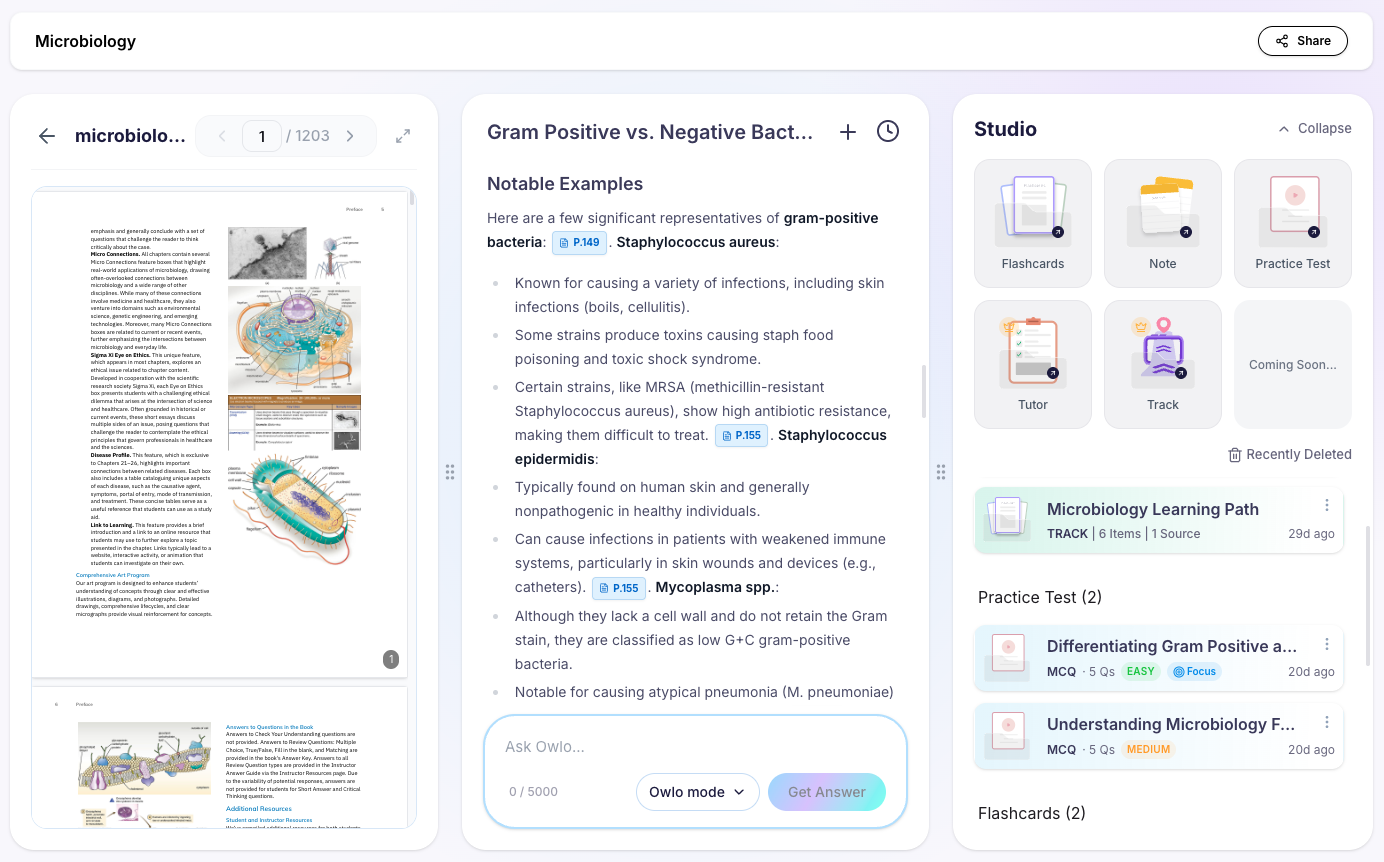 Owlo Dashboard Preview