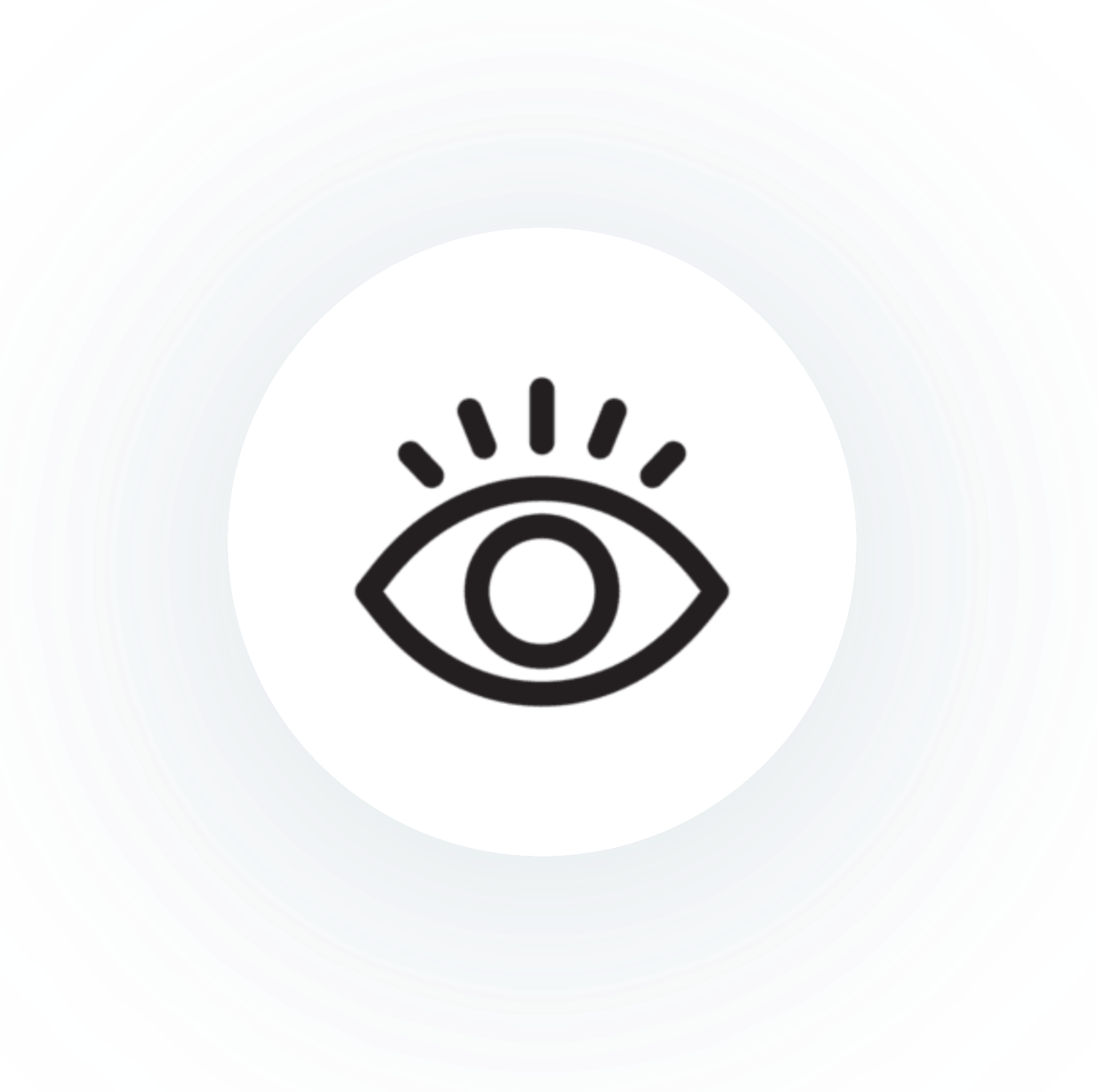 Our Vision
